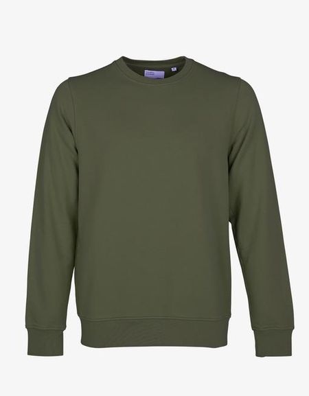 Sweat vert en coton bio - seaweed green