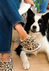 Chaussons en laine recyclée | écru "marcel léopard"