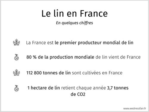 lin France chiffres