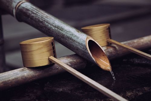 utilisation du bambou